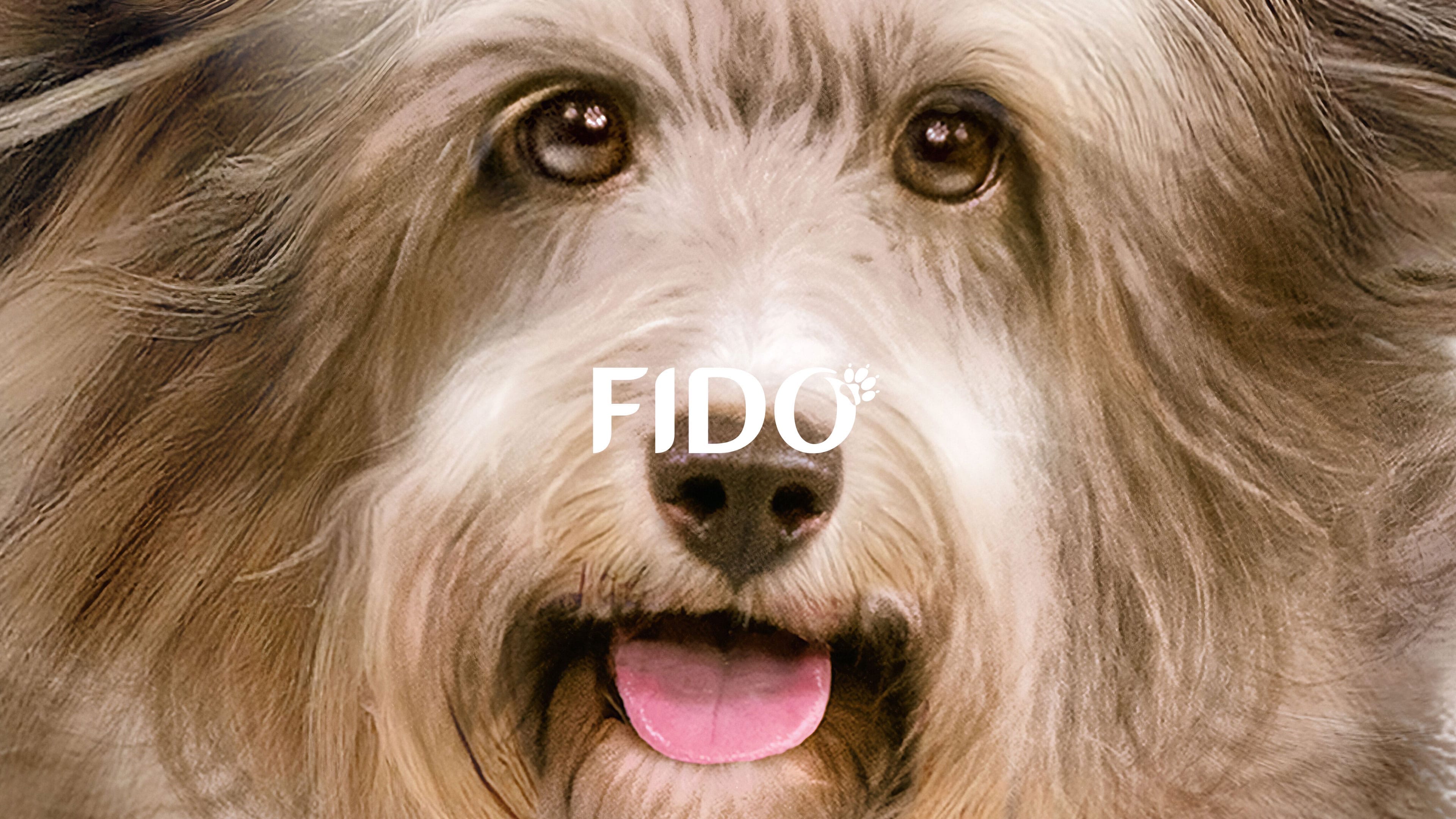 Fido